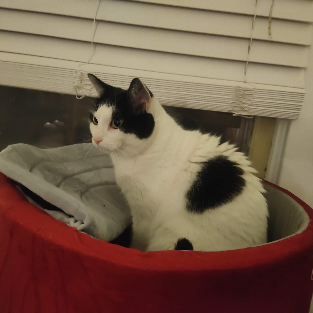 Meet your Posher, Vex